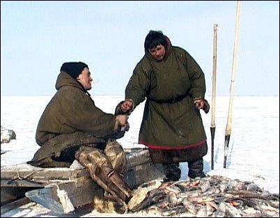 у печоры у реки где живут оленеводы и рыбачат рыбаки у печоры у реки где живут оленеводы и рыбачат рыбаки