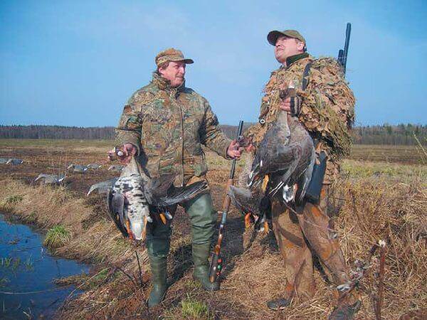 Охота в Белоруссии на гуся