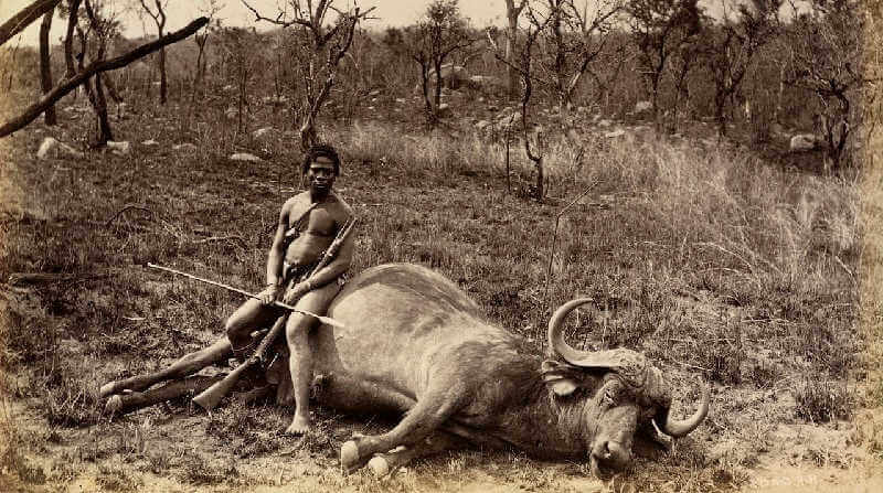 Южноафриканский охотник
