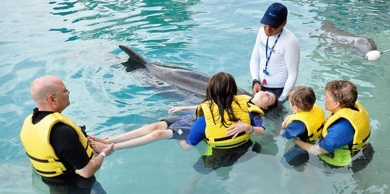 Лечение дельфинами