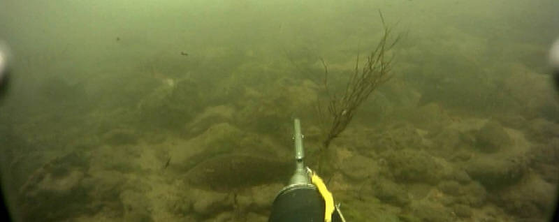 Подводная охота на зимней реке