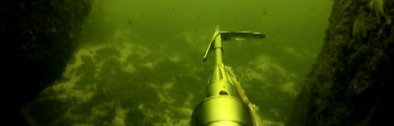 Подводная охота на сазана и судака