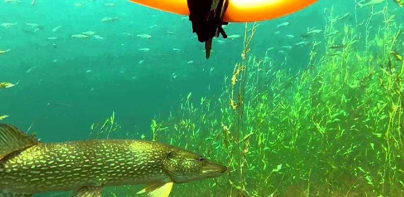 Подводная охота в Туве