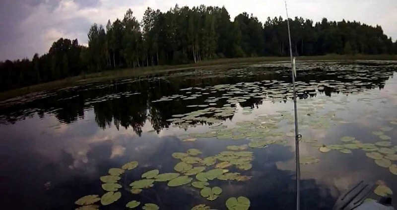 Рыбалка на озере Велье