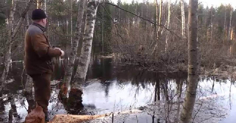 Охота на бобра с луком в Финляндии