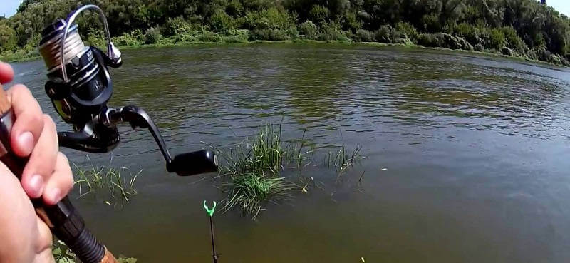 Рыбалка летняя на реке Дон