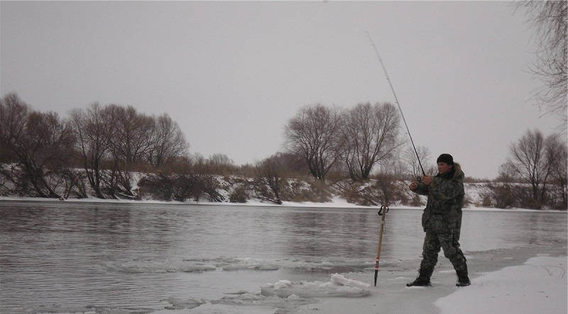 Рыбалка зимняя на реке Дон