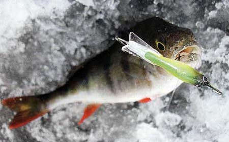 рыбалка на озере ладога