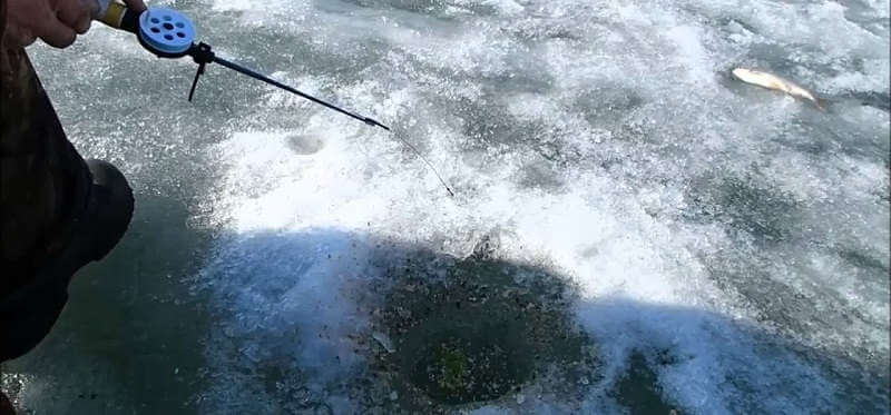 Рыбалка в Казахстане зимой