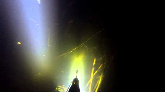 Подводная охота в Тамбове