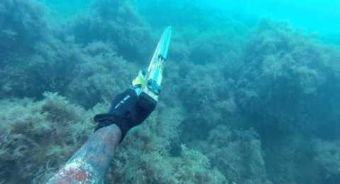 Подводная охота в Индийском океане