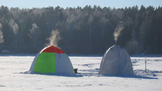 Ловля подлещика зимой в палатке