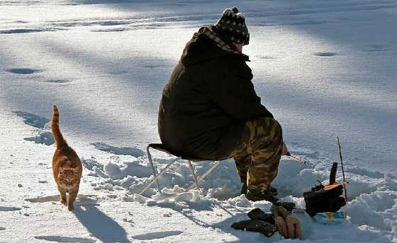 Ловля сомов зимой видео