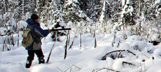 Загонная охота на кабанов зимой видео