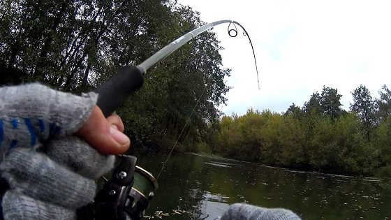 Рыбалка на спиннинг на маленькой речке видео