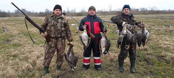 Охота на гуся весной 2018 в Беларуси видео