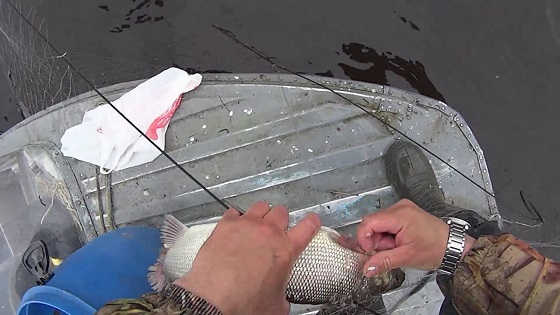 Весенняя ловля рыбы сетями видео