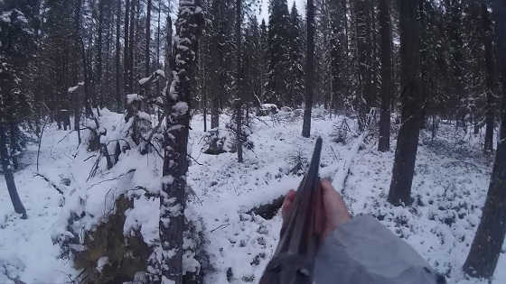 Загонная охота на лося зимой видео
