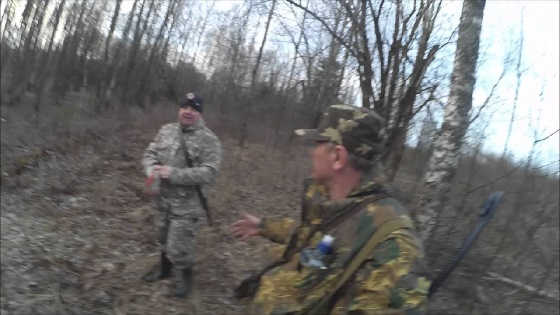 Охота на вальдшнепа в Смоленской области видео