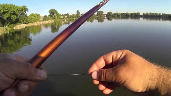 Летняя рыбалка на поплавочную удочку видео