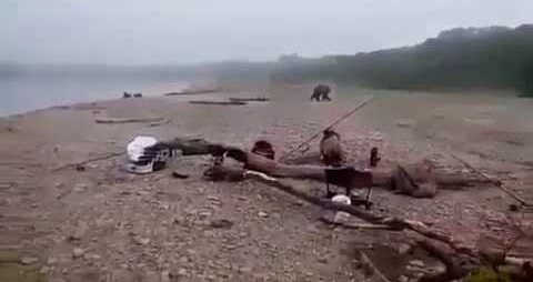 Рыбаки застрелили медведя видео
