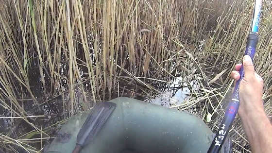 Рыбалка в Челябинской области видео