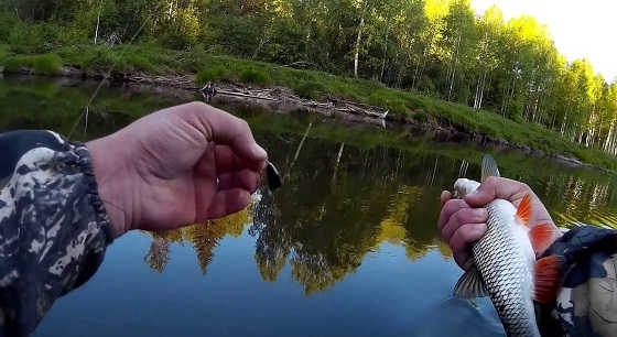 Июльская рыбалка на малой речке видео