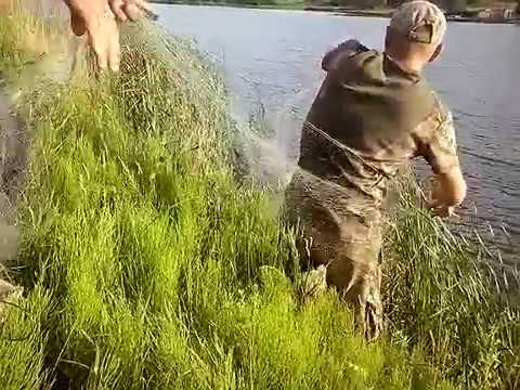 Июльская рыбалка сеткой видео