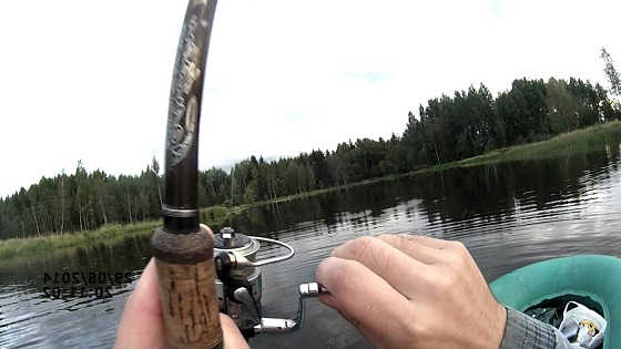Рыбалка на спиннинг летом видео