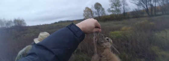 Охота на зайца в Запорожской области 