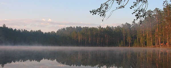 Загородный отдых в Ленинградской области