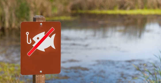 Что поможет избежать штрафов на рыбалке