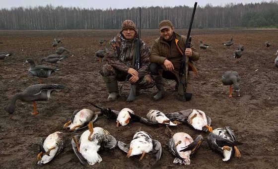 Охота на гуся весной в Беларуси