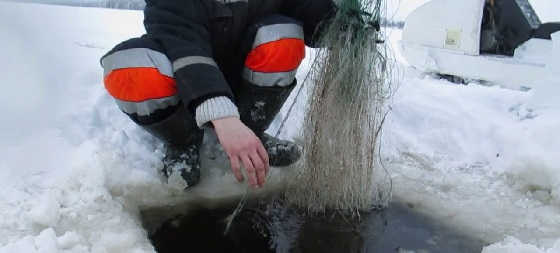 Зимняя рыбалка на сети в Сибири в жуткий мороз