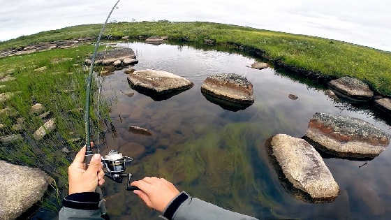 Дикая рыбалка на севере