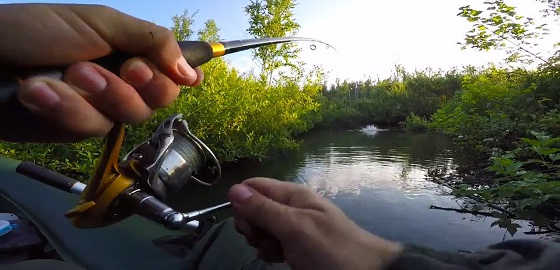 Рыбалка на красивой речке