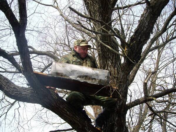 Искусственное гнездо