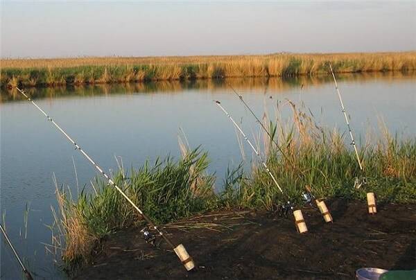 Рыбалка на донку
