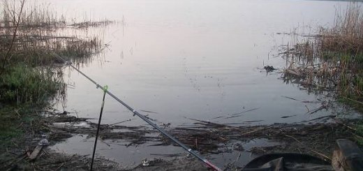 Рыбалка на карася