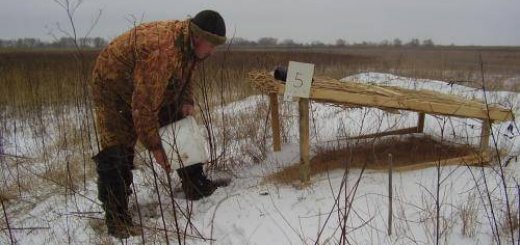 Подкормка зайцев