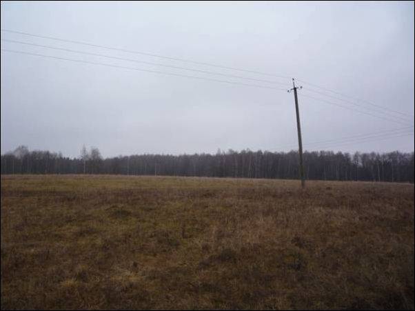 Опромышление  охотугодий 