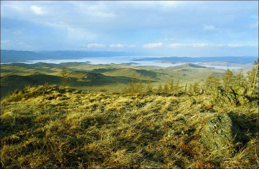 Сибирская тайга