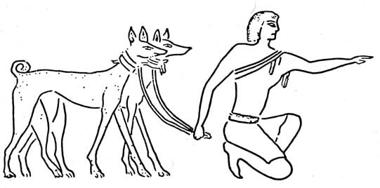 История борзых
