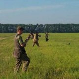 Охота на перепелов