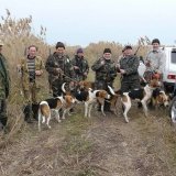 Охота с гончими