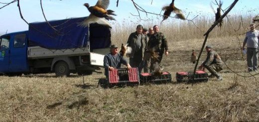 Охотничьи хозяйства в Молдавии