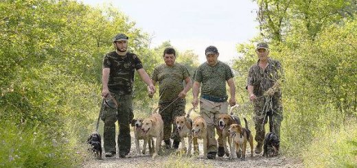 Охотничье хозяйство Грузии