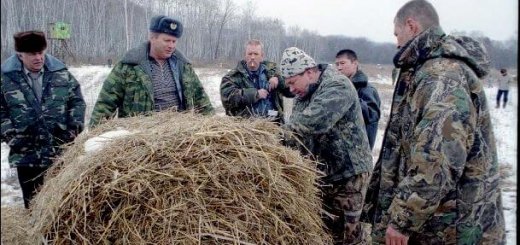 Проблемы охотхозяйств