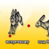 Стрельба из ружья по зайцам