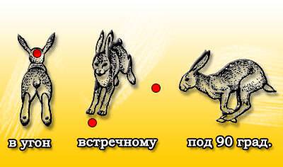 Упреждение при стрельбе по зайцу